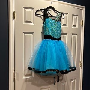 Beautiful Dance Costume